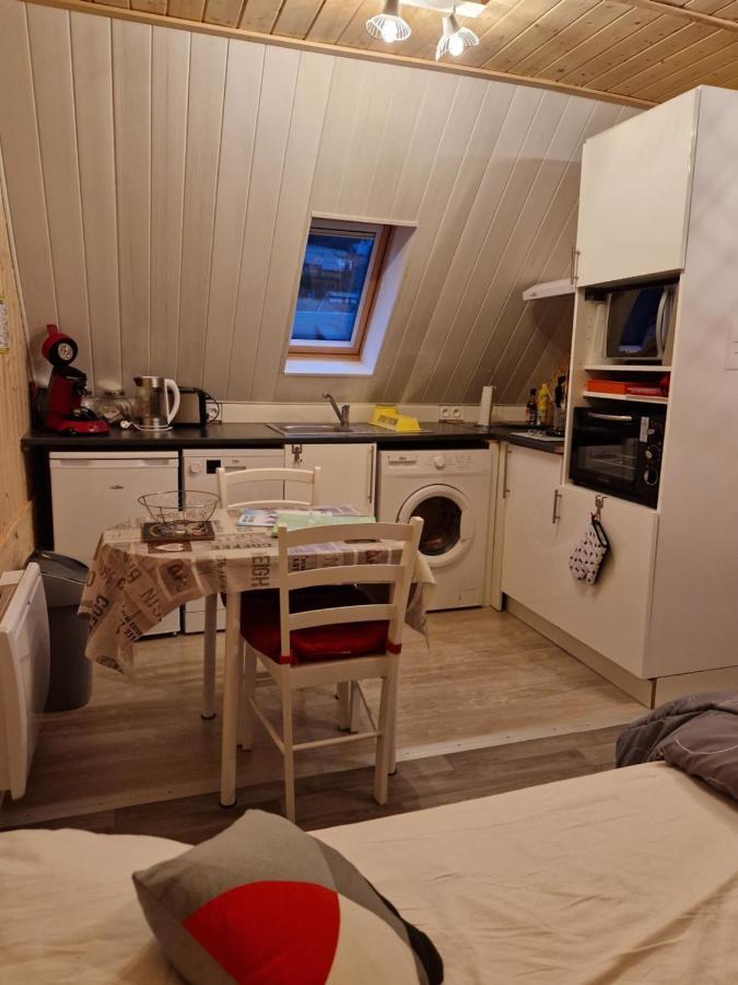 La Maison Des Fleurs Studio Le Mont-Dore Esterno foto